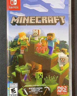 Minecraft Nintendo switch 