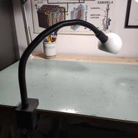 lampade morsetto 