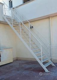 Scala ferro