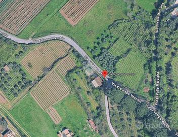 TERRENO A GROTTAFERRATA