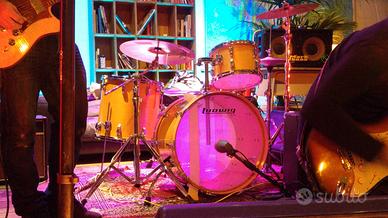 Batteria Ludwig Vintage Gold Sparkle