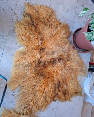 Due Tappeti di pelle di montone 
