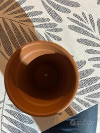 vasetti in terracotta