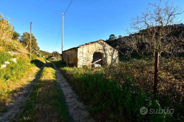 Terreno Agricolo - Sassari