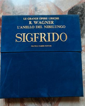 Collezione opere liriche in vinile