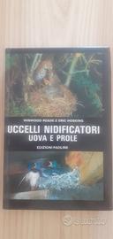 Uccelli nidificatori uova e prole