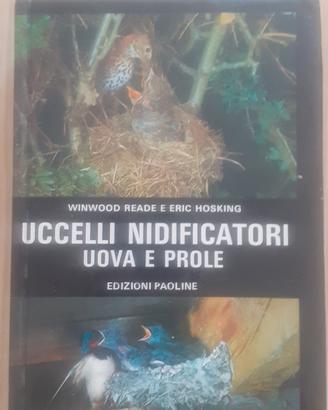Uccelli nidificatori uova e prole