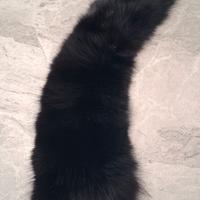 colletto in volpe nero 
