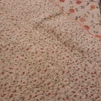 Trapuntina primaverile