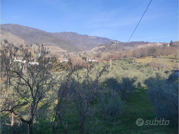 Terreno Agricolo a Caneva