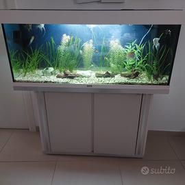 acquario bianco 250 lt 