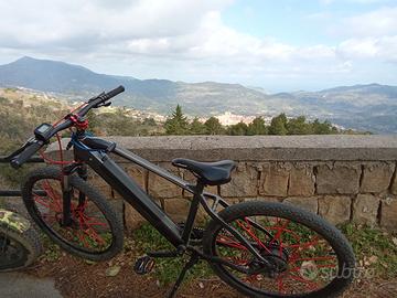 E-bike 