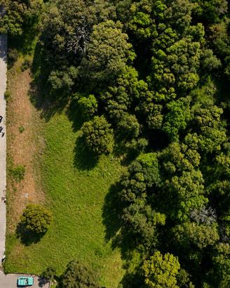 Terreni edificabili e panoramici a Guspini