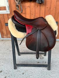 Sella da salto Antares