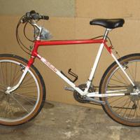Mountain bike vintage Bottecchia