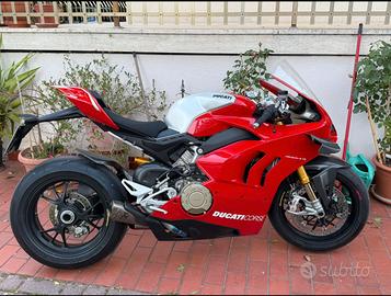 Panigale v4r 2019