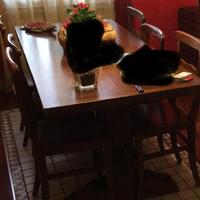 Tavolo in arte povera