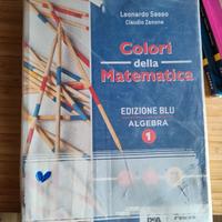 Colori della matematica Edizione Blu Algebra 1