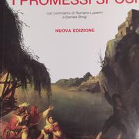 i promessi sposi einaudi scuola