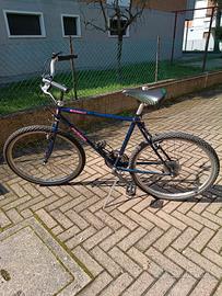 Bicicletta uomo