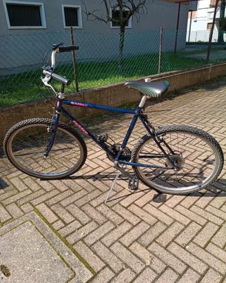 Bicicletta uomo