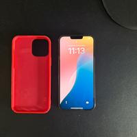 Iphone 13 pro max in Garanzia