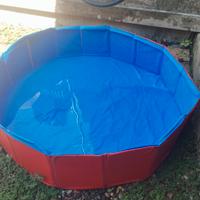 piscina per cani
