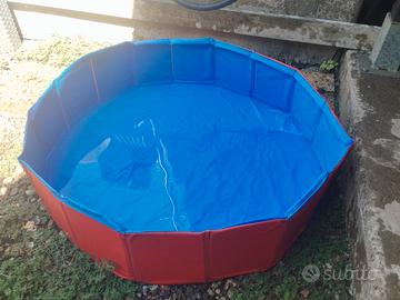 piscina per cani