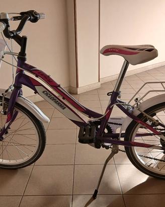 Bicicletta rosa e bianca 