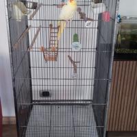 Gabbia per volatili 
