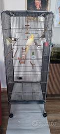Gabbia per volatili 