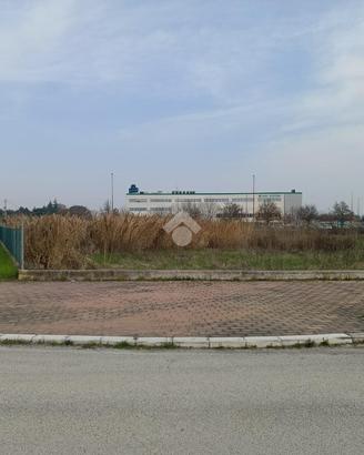 TERRENO A CESENA