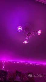 Lampadario in vetro di Murano 3 luci