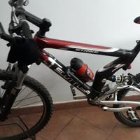 Scott Carbonio 