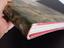 Immagine 3