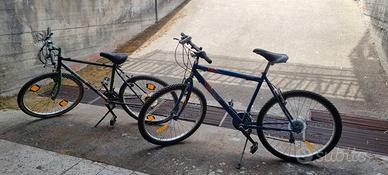 Due bici