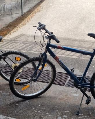 Due bici