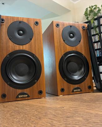 Diffusori bookshelf spendor S 3/5