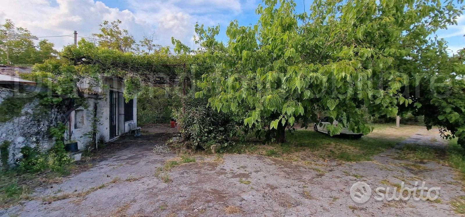 Fabbricati con terreno a Piedimonte Etneo - Altro