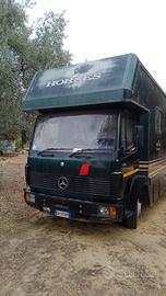 Van trasporto cavalli