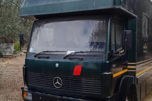 Van trasporto cavalli