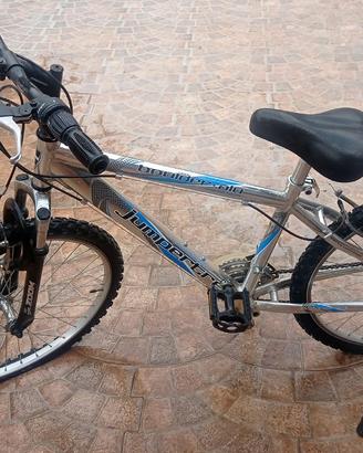 Bicicletta in alluminio