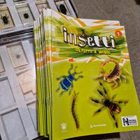 collezione INSETTI DA TUTTO IL MONDO  - Mondatori 