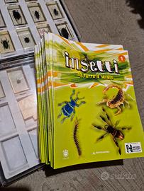 collezione INSETTI DA TUTTO IL MONDO  - Mondatori 