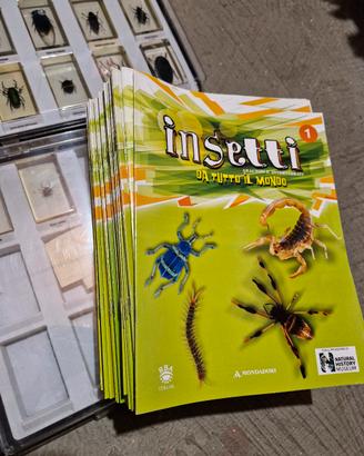 collezione INSETTI DA TUTTO IL MONDO  - Mondatori 