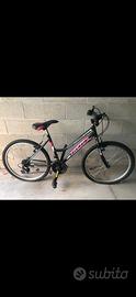 Bici ragazzi