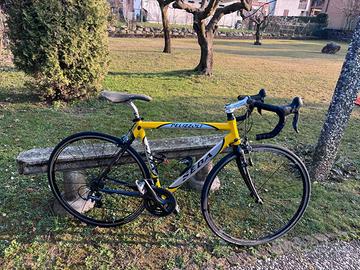 Bici da corsa pelizzoli