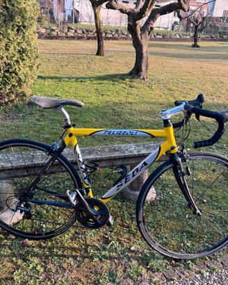 Bici da corsa pelizzoli