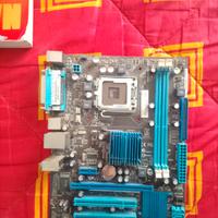 Scheda madre Asus P5G41T-M LX2 