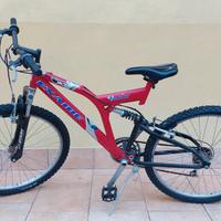 mountain bike ammortizzata